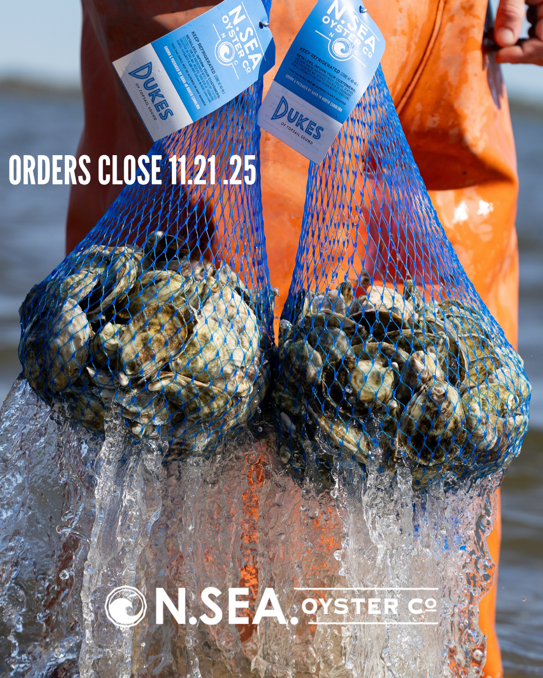 Thanksgiving Oysters