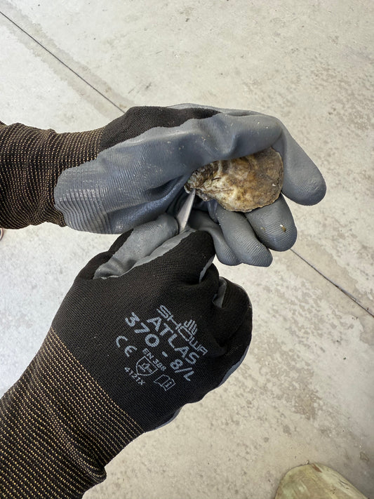 Shucking Gloves