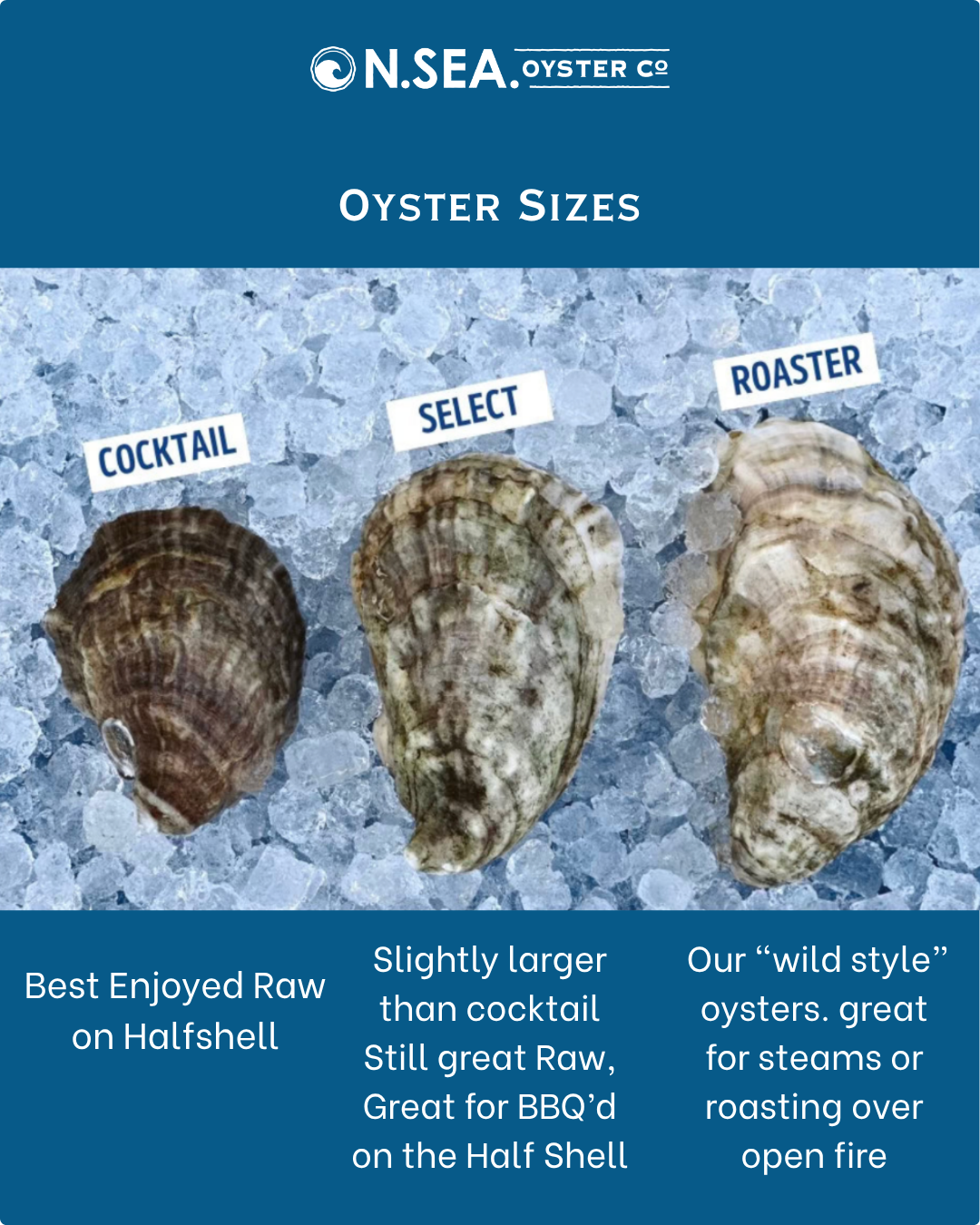 Thanksgiving Oysters