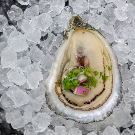 ADD ON: Cocktail Hour