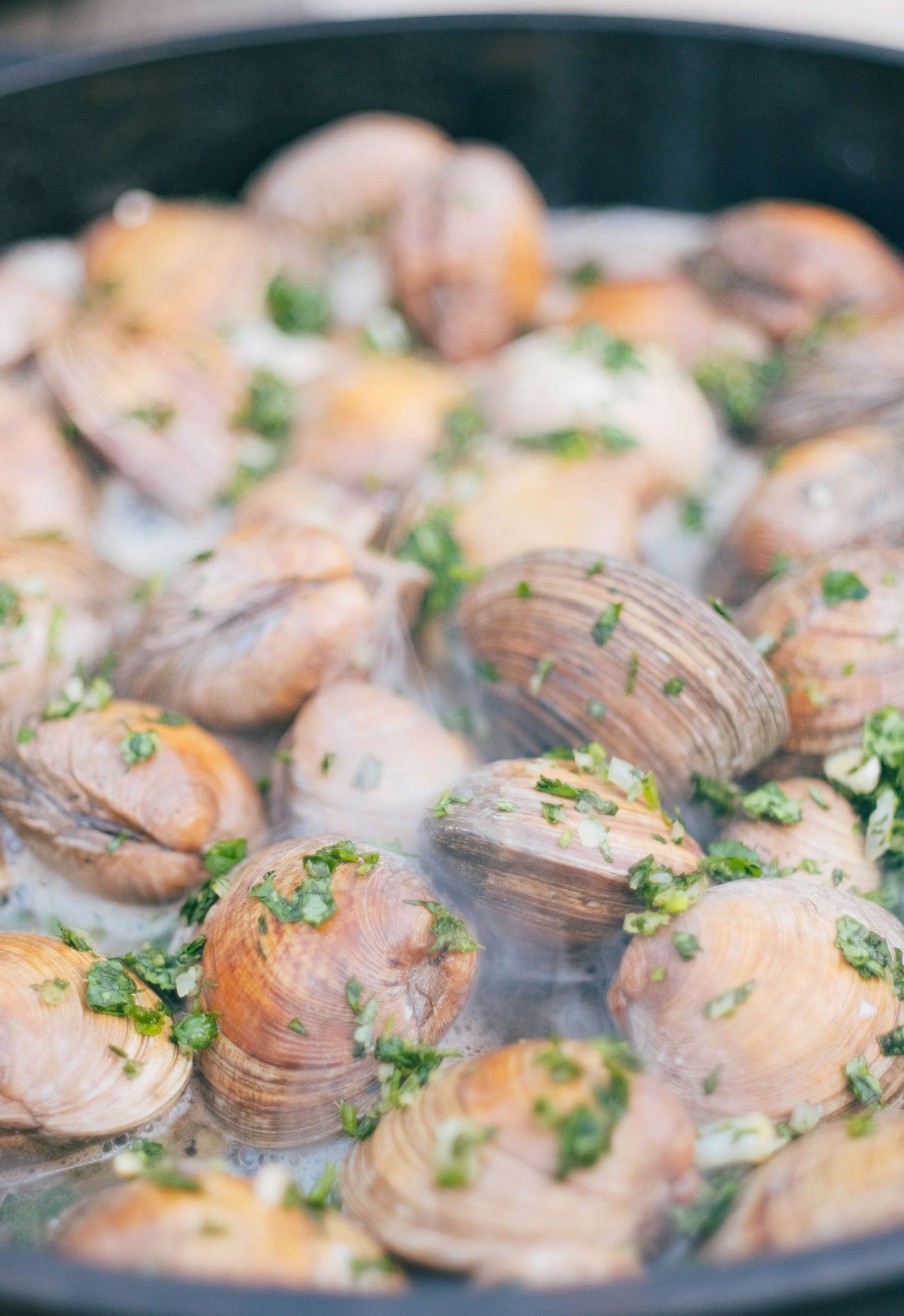 N. SEA. Clam Kit