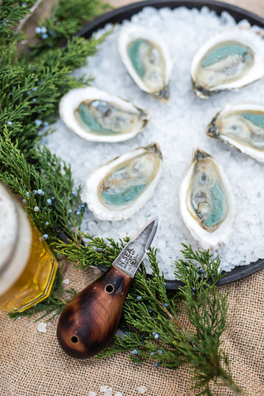 Divine Pines of Topsail Sound