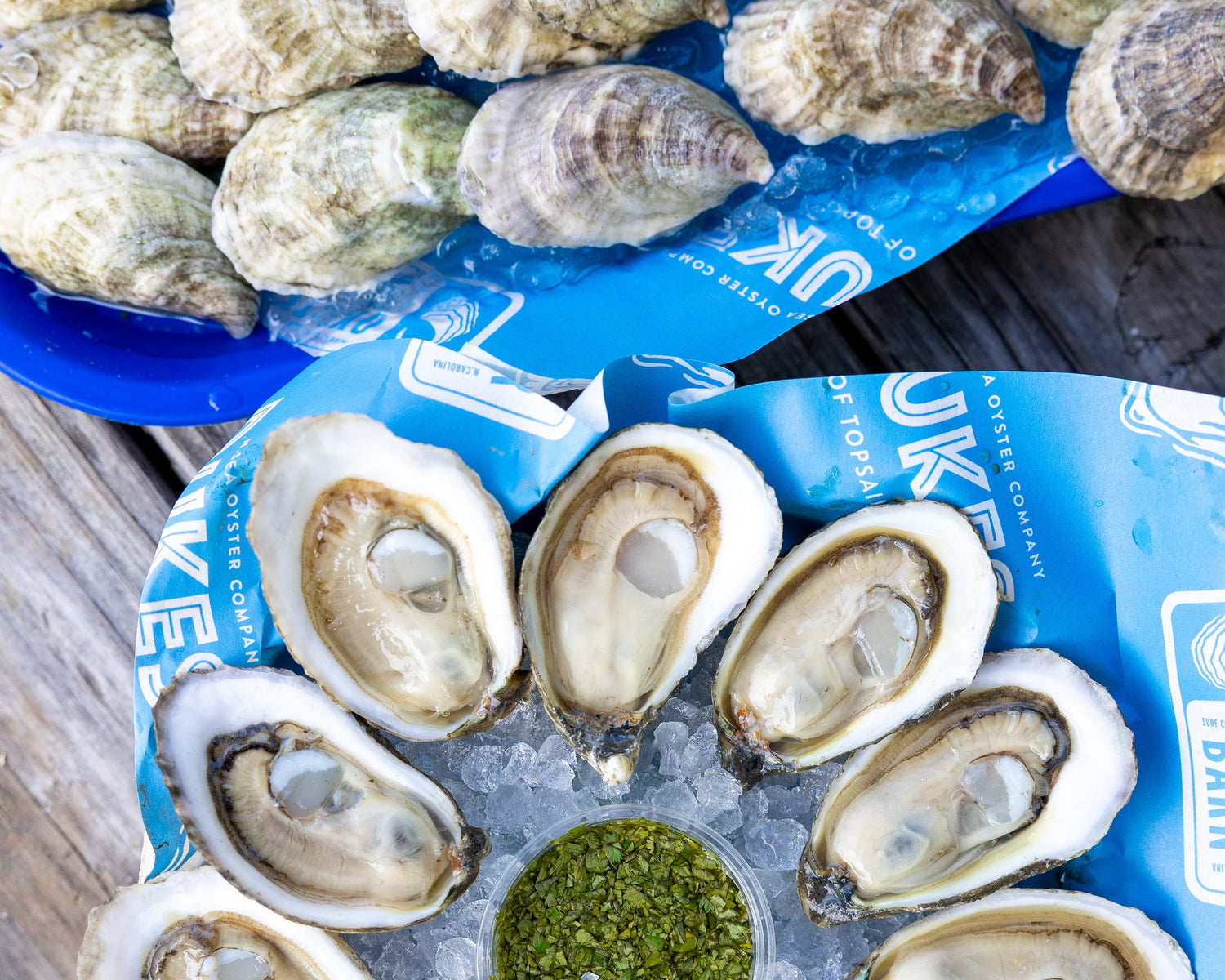 Oysters on a blue plastic tray with a wooden surface underneath