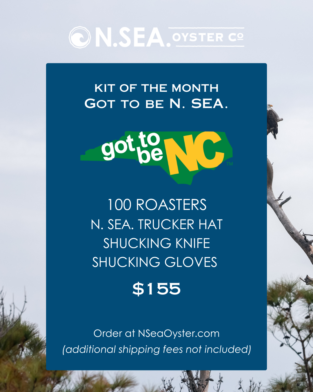 October Special: Got to Be N. SEA.