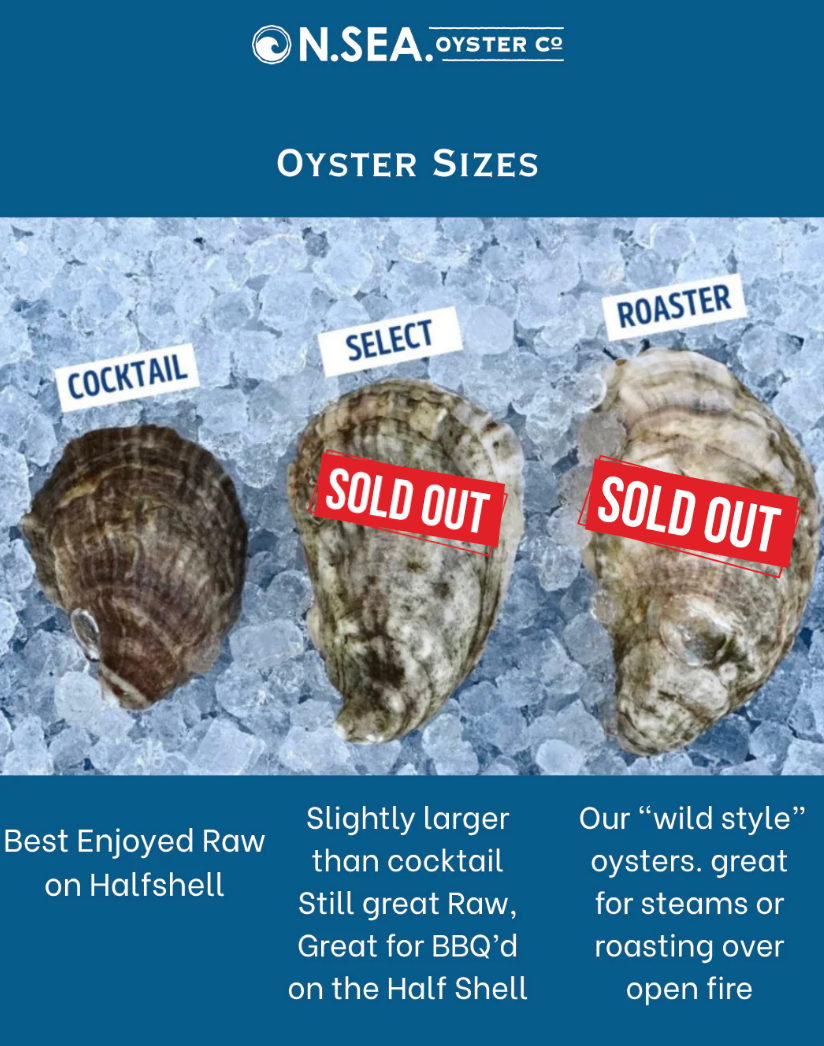 Divine Pines of Topsail Sound